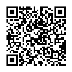 但大多都听说过秦方的传说……现在可算是见到真人了二维码生成