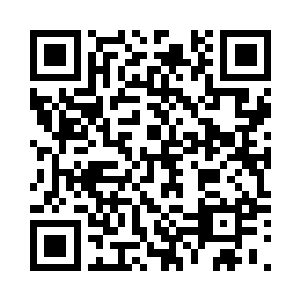 但大家看着的是穆博文之下的龙凤胎二维码生成