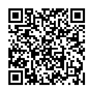 但大概就是因为张潇晗亲眼见到小松鼠从蛋壳里出来的吧二维码生成