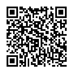 但大赛主办方还是按照骨器级别决定了它们出场演示的先后顺序二维码生成