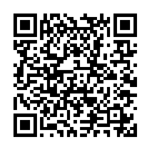 但大部分程度上的弟子的战斗力是比不上青山剑派二维码生成