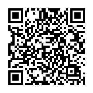 但天禅子断言一旦生命之树完全改造了这个世界的灵气二维码生成