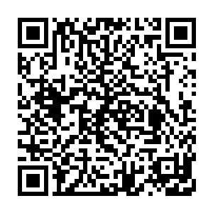 但奇怪的却是一波妖帝带着一波即将掉坑里的妖君蹲在一处是怎么个意思二维码生成