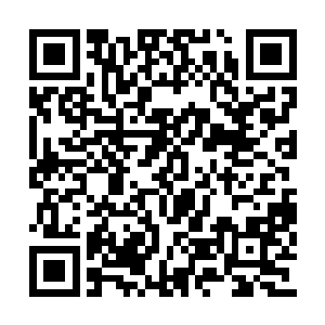 但女巫师脚下的一圈风系能量粒子还是凝固不散二维码生成