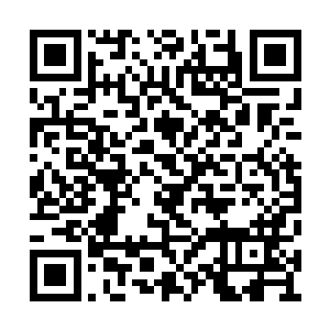 但她一眼就看出很多人的目光牢牢地盯在那上面二维码生成