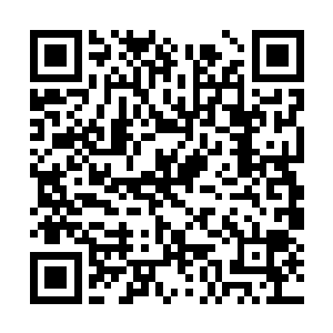 但她也不得不承认霍恩在治理领地方面的卓越才能二维码生成