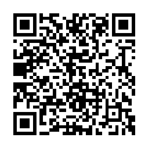 但她也没有让外面的那位老者以及弟子们走进来二维码生成