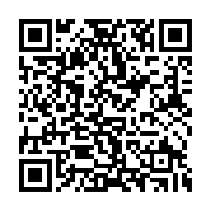 但她从小到大都是看到宫中的妃子们一旦怀孕了二维码生成