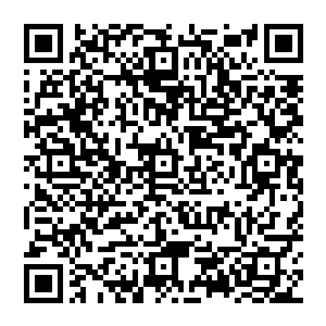 但她们身上那明显不属于妖族气息的血焰却是让金龙默契的把她们当成与自己一类属于万族后裔的种族二维码生成