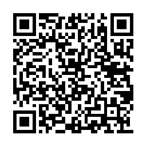 但她却明显可以感觉到这团光晕没有任何攻击性二维码生成