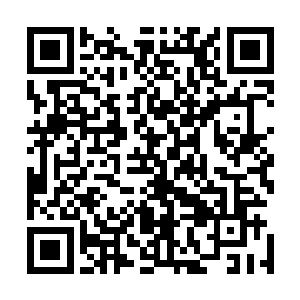 但她却还是第一次见到有人打一个游戏能打得这么认真入神二维码生成