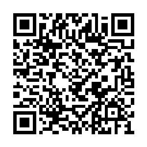 但她对实际上大名鼎鼎的黑手党却没有那么畏惧二维码生成