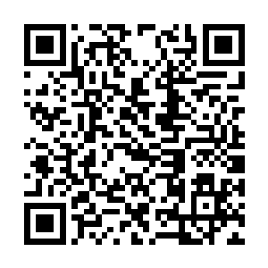 但她明明愤怒却佯装冷静淡雅的模样当真打趣的紧二维码生成