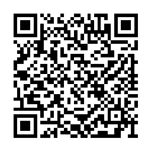 但她的能力似乎多半是以瞳术的强大异能为根基二维码生成