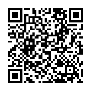 但她还是强忍着自己在君白芬芳面前摆出一副不在乎的模样二维码生成