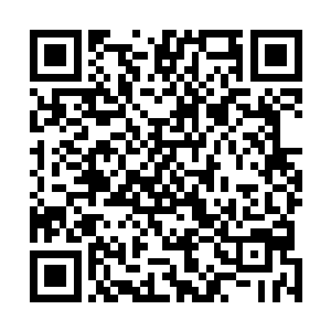 但她还是无法接受男性的这种宁肯丢命也不肯丢人的作派二维码生成