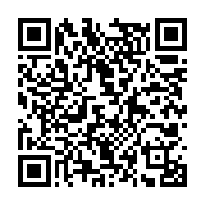 但好似没有看到自己都变的成了这么一副样子了吗二维码生成