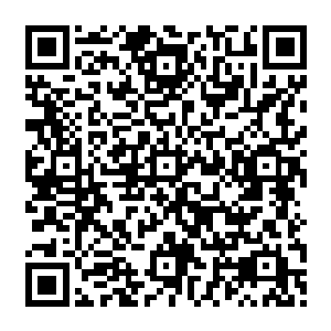 但好几个具有控土能力的战士突然发现他们竟然无法操控这座大厅里的任何一点土壤和石头二维码生成