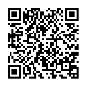 但如今愤怒只不过是融合了自己和另外三人的力量二维码生成