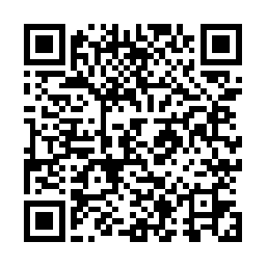 但如果从整体上来看却是符合他们引辰星诀一脉的一种阵法二维码生成