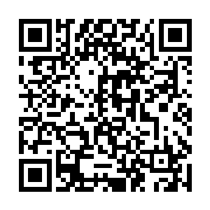 但如果他们把动物和植物的命运凌驾于人命之上的话二维码生成