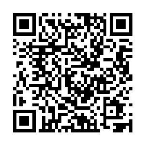 但如果在当时的情况下换做是陈诚自己是那个妖姬二维码生成