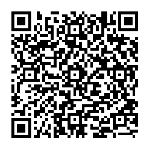 但如果我不付出一些……以后真的很难面对你给我的好处了……还是你打算让我就这么离开二维码生成