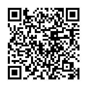 但如果换了一个满脸痘印头发弄成杀马式肥猪流的家伙二维码生成