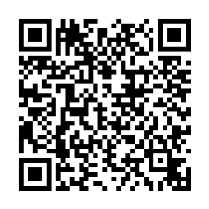 但如果没有充分的知识和世界观作为前提的情况下二维码生成