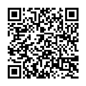 但如果这意味着我对经营公司和追求权力没兴趣的话二维码生成