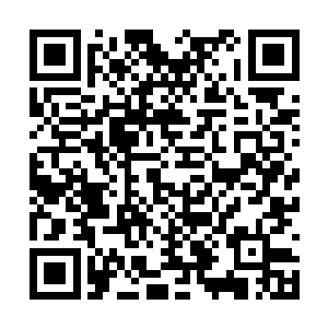 但妖神相柳打出来的吞食天地这一招却是攻防一体二维码生成