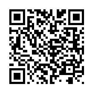 但妮娜总觉得按照白兰的一贯作风二维码生成