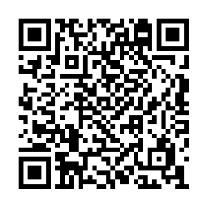 但妮娜还是顽强地爬上了这座不算高的山的顶峰二维码生成