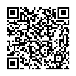 但威力与真正上古术法法天象地还是有天差地别的二维码生成