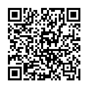 但威势和气息早已凌驾于琅琊地灵记忆中的六转标准二维码生成