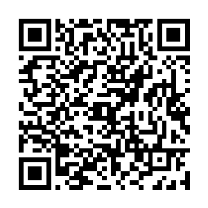 但孔羽灵偏偏就表现出了对他毫不掩饰的爱慕之意二维码生成