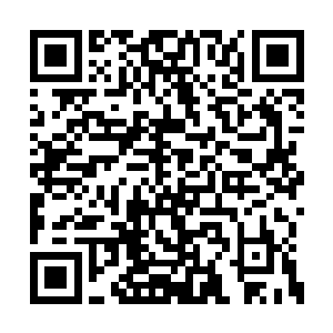 但存世的太古龙算是所有的分支绝对不止这个数二维码生成