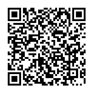 但孤飞上仙和瑶池上仙可以百分百确定――此刻鸿蒙世界潜伏着最少十几个上仙二维码生成