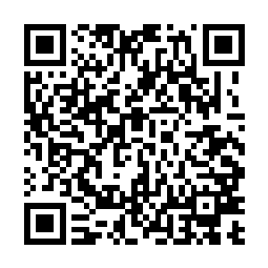 但学生们拍摄到的视频却揭露出了他们纯粹是咎由自取二维码生成