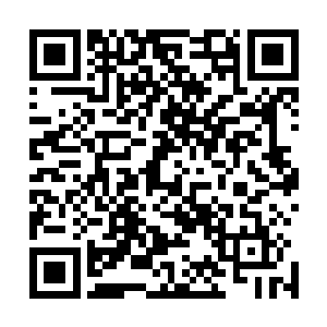 但孩子们和没有经历过这段历史的人们也应该了解这段历史二维码生成
