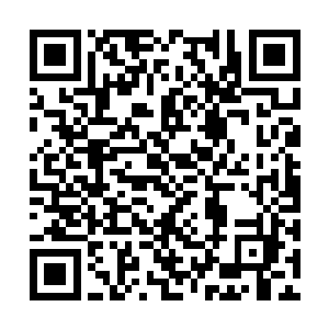 但它却也等于是拥有了一种奇异的生命形态了……二维码生成