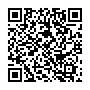 但宗门大阵绝对不可能将拥有剑道之气的人和剑道师弄混二维码生成