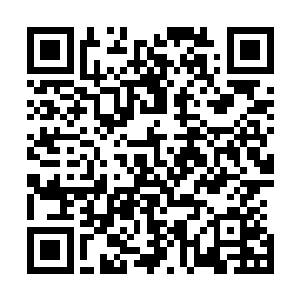 但实际上地球每年对于星兽肉的需求数量远远大于上千亿斤二维码生成