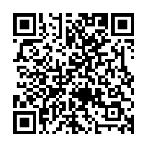 但实际上它的抗击打能力却是比很多凶猛的野兽还要更加强悍的二维码生成