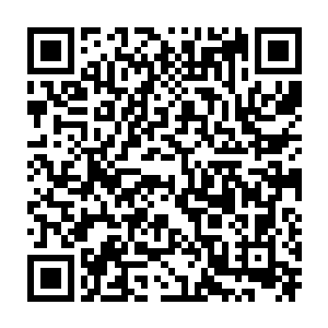 但实际上由于拔苗助长计划派下来少司命那样地仙参与大规模基础建设二维码生成