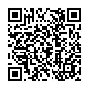 但实际上绝大多数的妖物在被控制后都会实力大减二维码生成