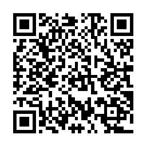 但实际上金龙焰宗当年的宗族之人的数量可远不止如此二维码生成