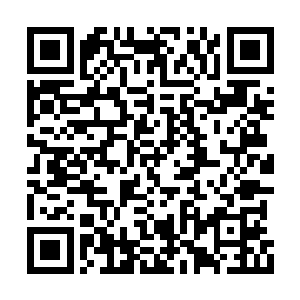 但实际想追也追不成――东面密林道路还没开辟二维码生成