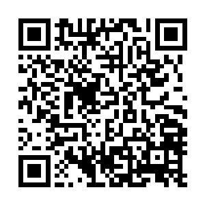 但客观上来说……他们还是在第一招过后投降比较好吧……二维码生成