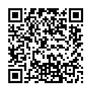但对于兰花近乎变态的狂热痴迷却让他最终迷失了自己二维码生成